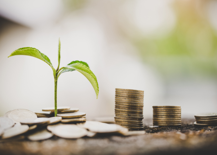 Sustainable Finance