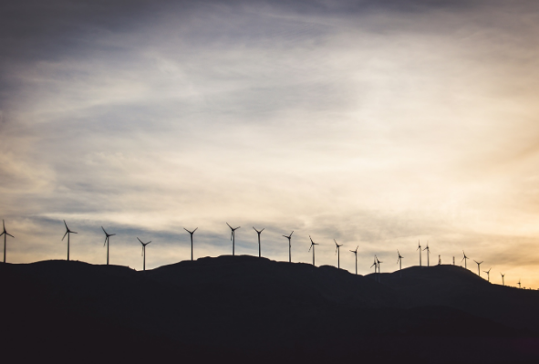 sustainable bond market