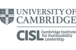 Logo Strip 41