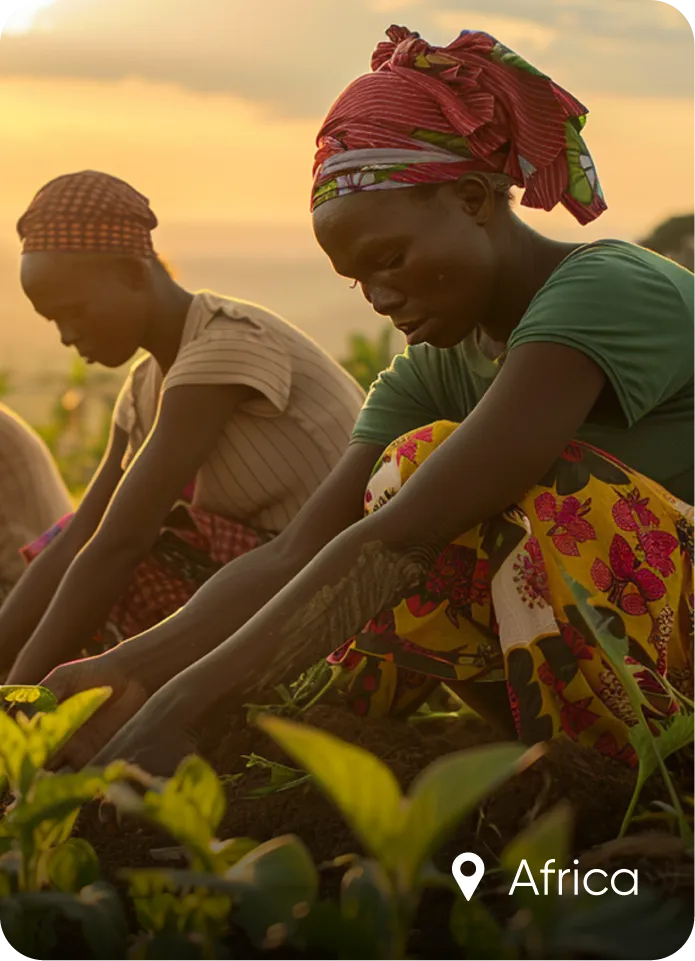 FSD Africa and UK Government pan-African sustainable insurance programme