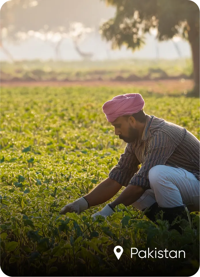 GIZ and State Bank of Pakistan climate risk and trade finance programme for agricultural exporters